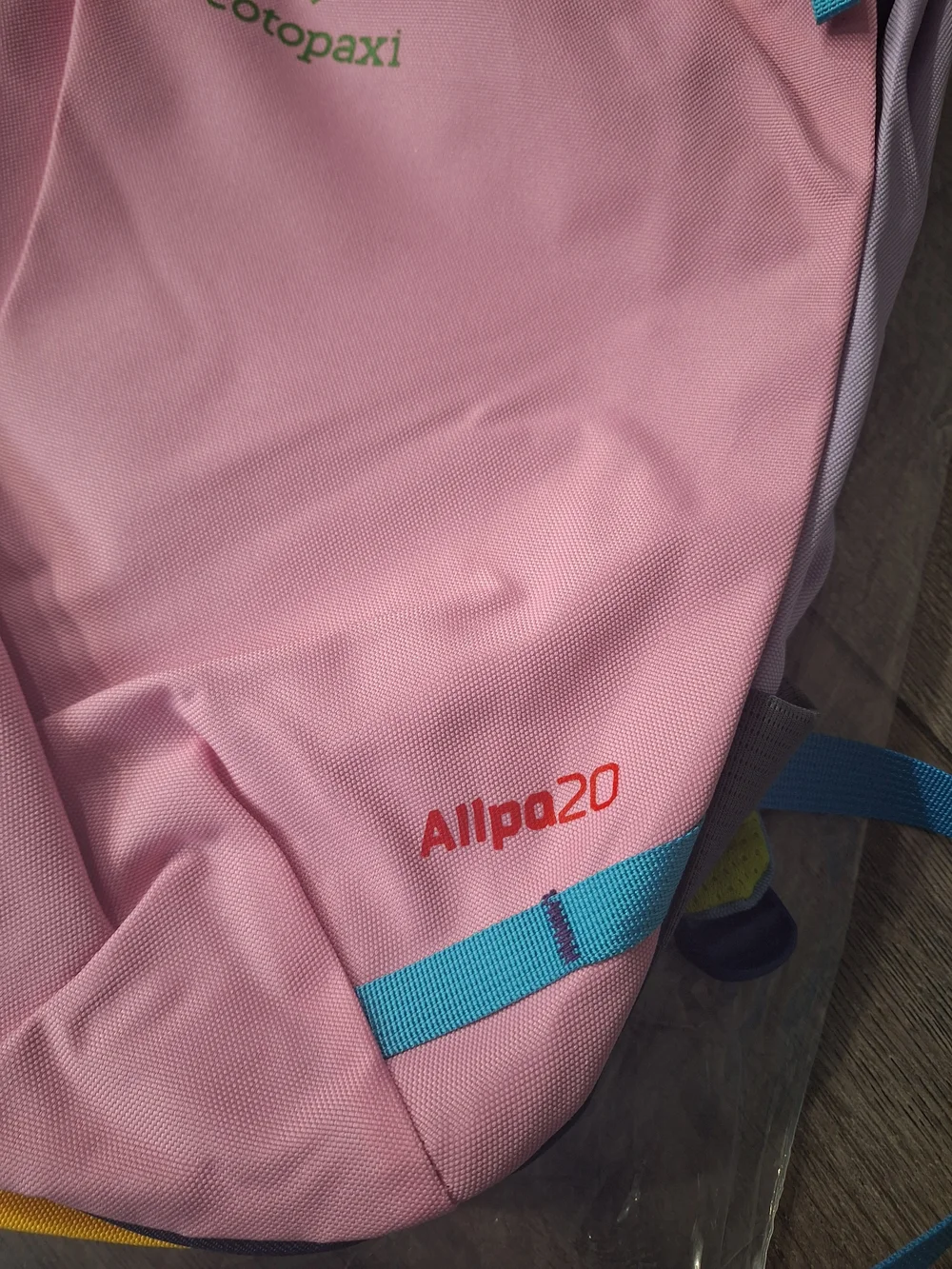 Cotopaxi Kids Pink Allpa 20L Backpack